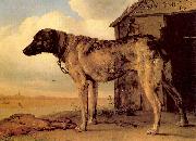 POTTER, Paulus Watchdog china oil painting reproduction